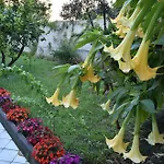 Kalasaja Отель типа 