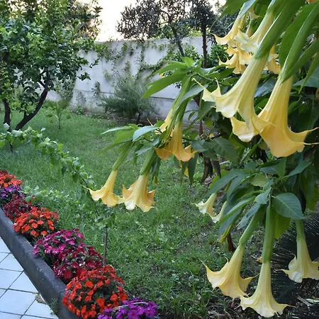 Kalasaja Bed & Breakfast