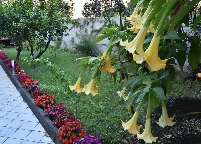 Kalasaja Bed and breakfast